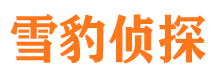 安化市侦探调查公司